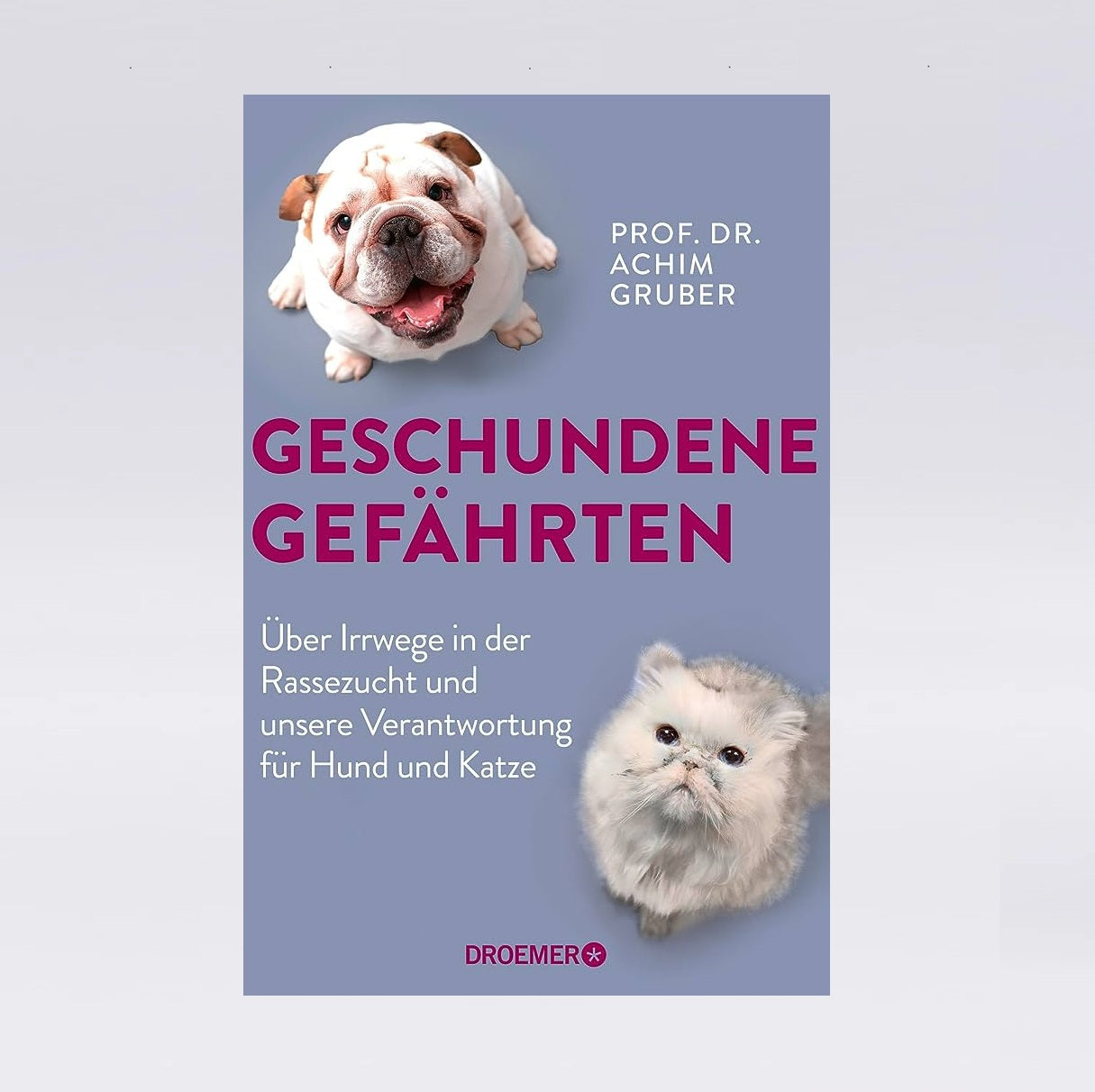 Geschundene Gefährten
