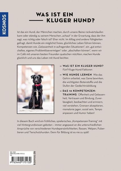 Die 10 Kompetenzen für Hunde