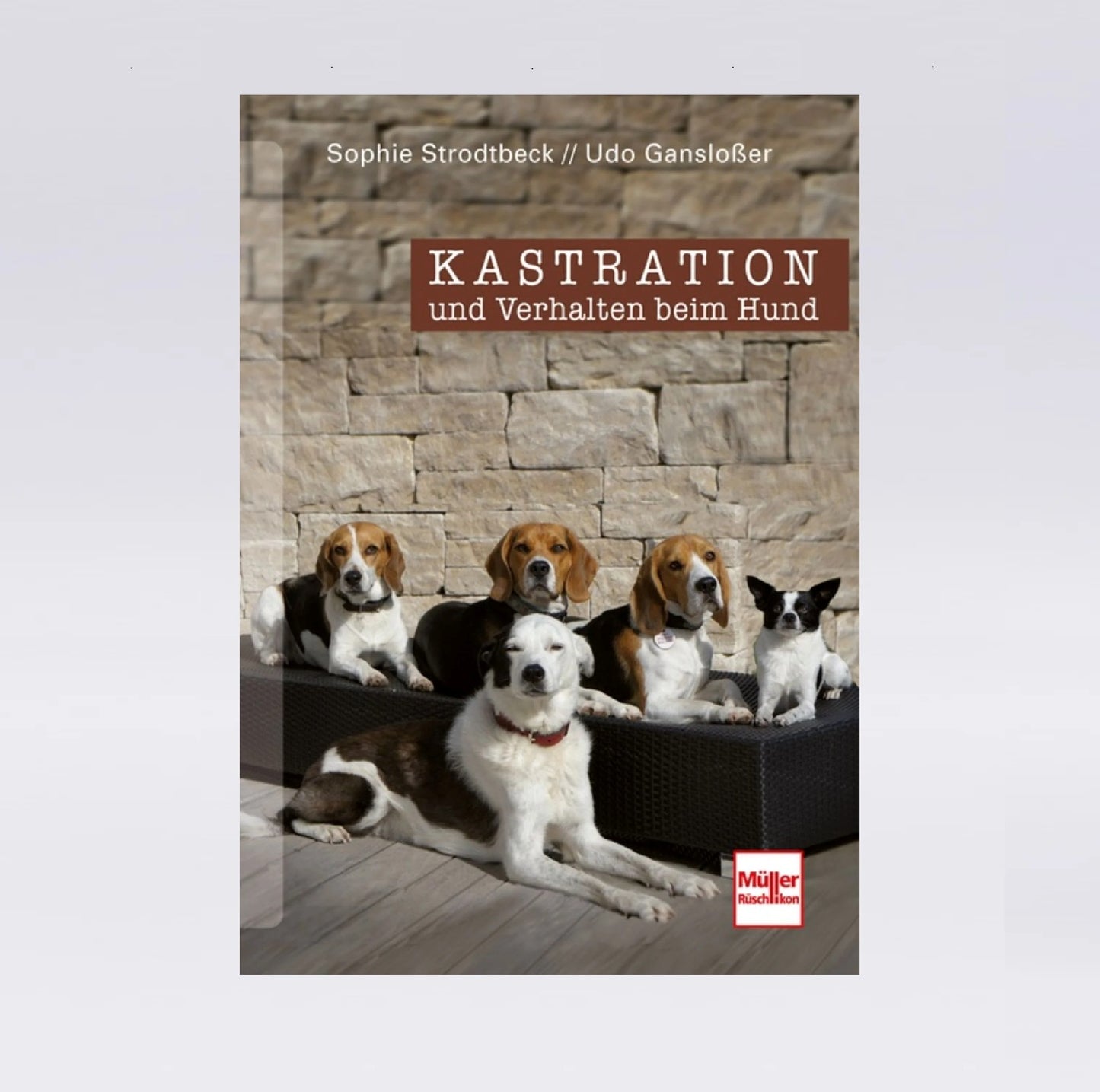 Kastration und Verhalten beim Hund