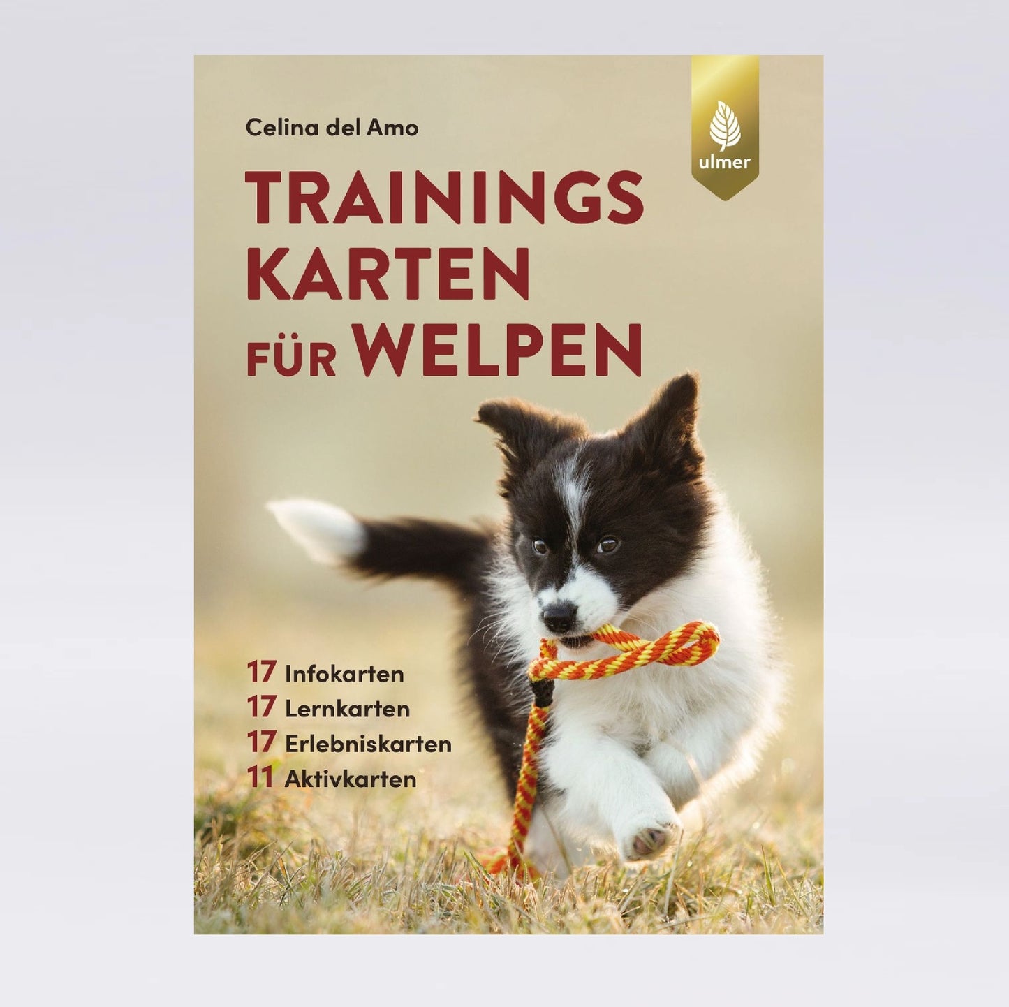 Trainingskarten für Welpen