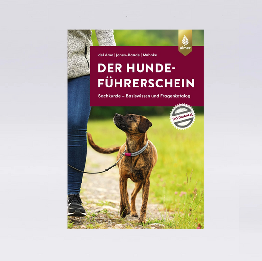 Der Hundeführerschein