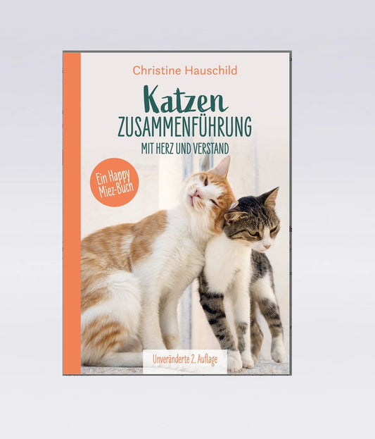 Katzenzusammenführung mit Herz und Verstand