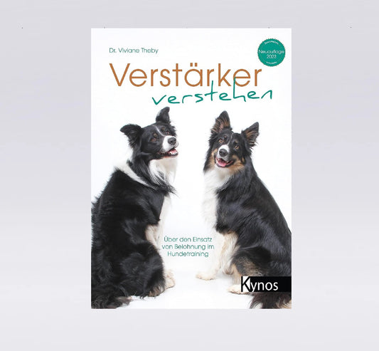 Verstärker verstehen