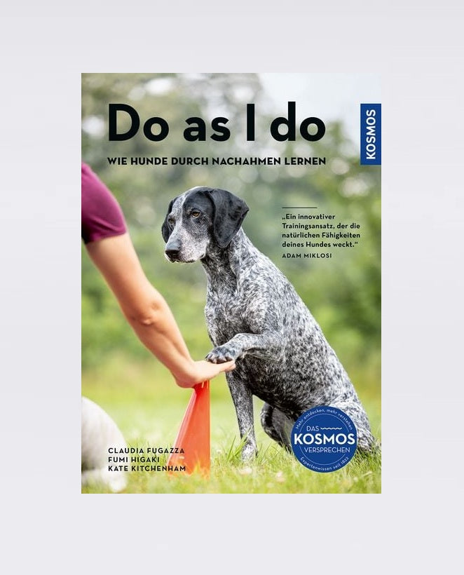 Do as I Do