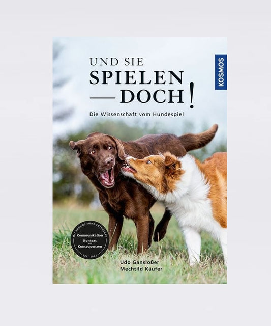Und sie spielen doch!